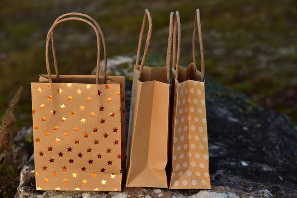 Evolution of Paper Bag Production: A Sustainable Journey