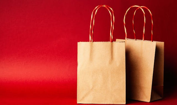 When Were Paper Bags Invented? Here is the Holistic History!