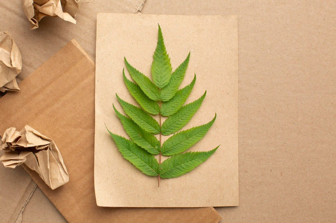 What Is Virgin Quality in Paper Products? - Jet Paper Bags