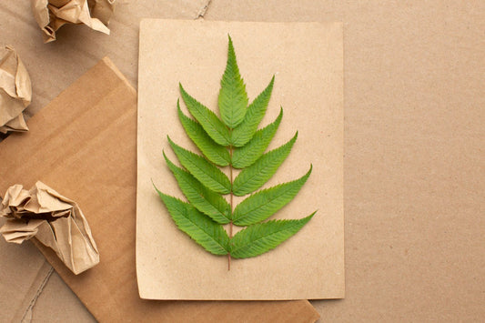 What Is Virgin Quality in Paper Products? - Jet Paper Bags