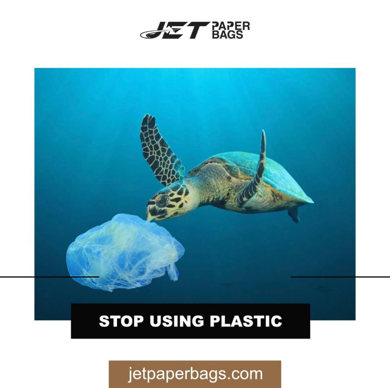 Brown Paper Bags: Durable, Eco - Friendly, Made in USA - Size 16 - Jet Paper Bags