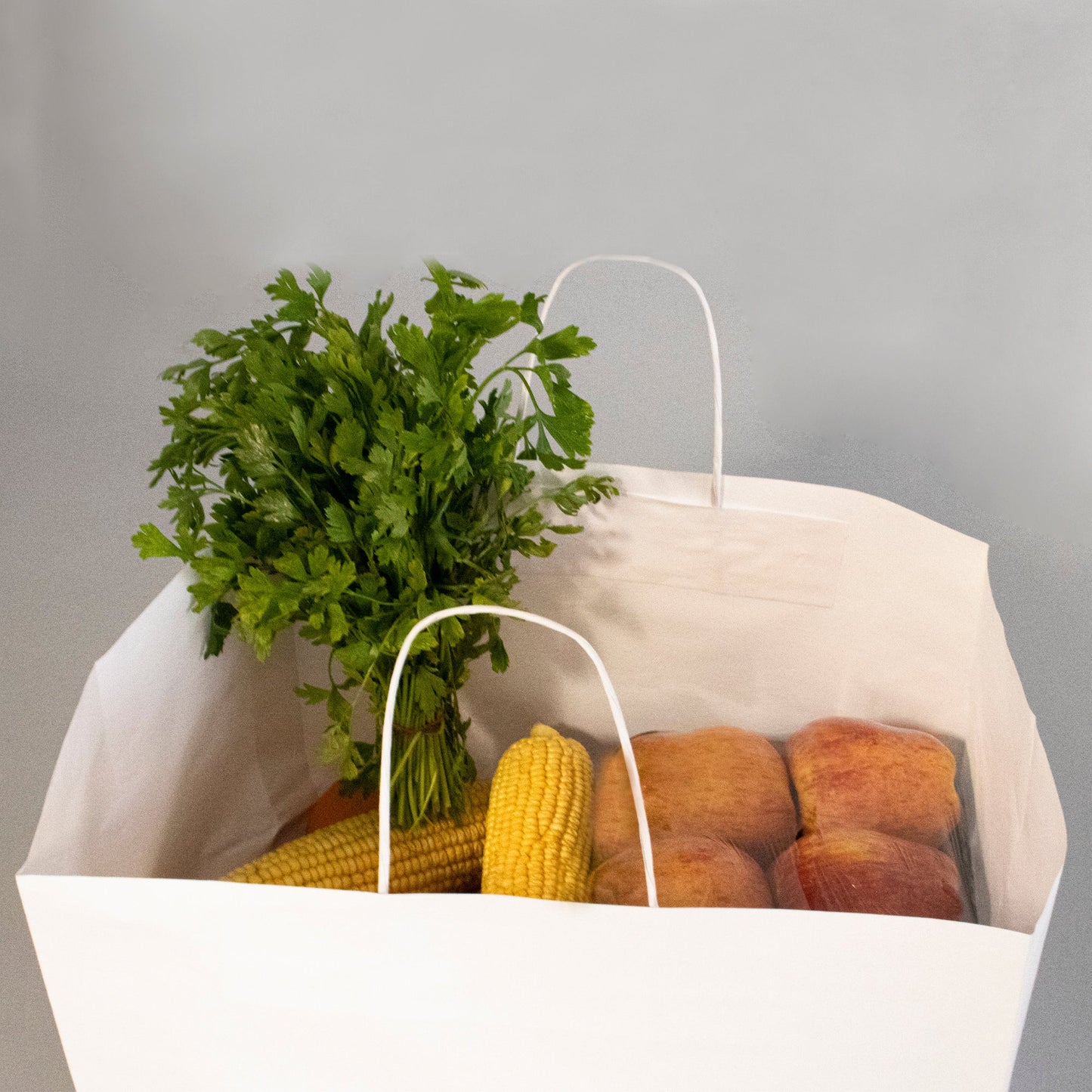 WHITE Paper Bags with Twisted Handles - HYDI - 15" x 10" x 12" H - Jet Paper Bags