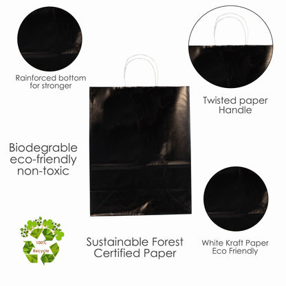 Black Colored Paper Bags with Twisted Handles - 10" x 5" x 12H“