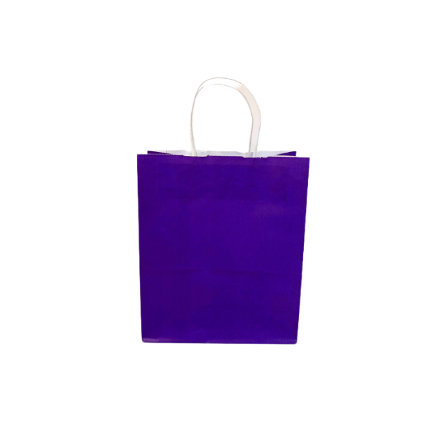 Purple Colored Paper Bags with Twisted Handles - 10" x 5" x 12" H