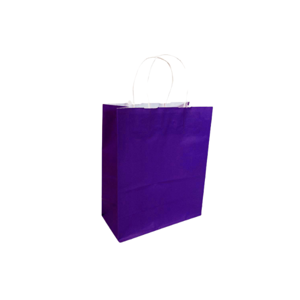 Purple Colored Paper Bags with Twisted Handles - 10" x 5" x 12" H