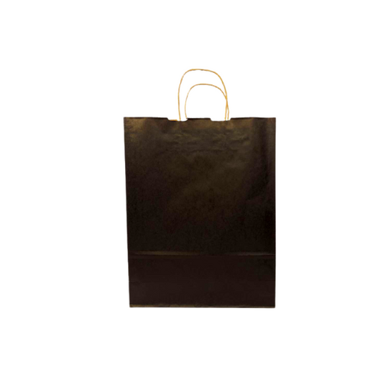 Black Colored Paper Bags with Twisted Handles - 10" x 5" x 12H“