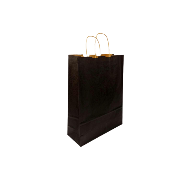 Black Colored Paper Bags with Twisted Handles - 10" x 5" x 12H“